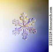 A real snowflake showing the classic 6-sided star shape photographed under a microscope;Anchorage alaska united states of america