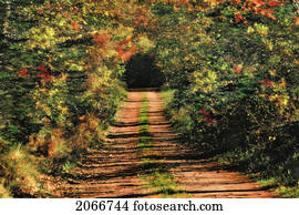 Autumn Leaves Surround Heritage Road, Pei