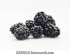 Blackberries on a white background