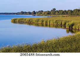 lago erie, contorno costa, Marsh., Rondeau, parque provincial, Ontario., Canada.