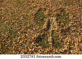 Leaf Angel imprint in fallen fall leaves, Russian Jack Park, Anchorage, Southcentral Alaska, USA.