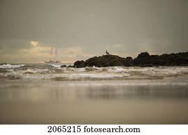 tamarindo, cozinhe ilhas