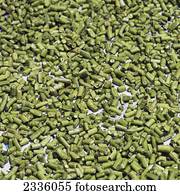 An abundance of cut green beans