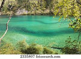 turquesa, água, em, um, tranqüilo, lago