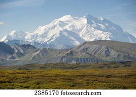 Changing colors on the fireweed plant, Fall, Denali National Park, Interior, Alaska