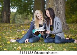 dos, niñas adolescentes, lectura, el, biblia, juntos, en, un, park;, edmonton, alberta, canadá