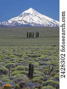 Lanin volcano; Neuquen Province, Argentina