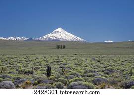Lanin volcano; Neuquen Province, Argentina