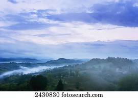 Landscape with low cloud, near San Gimignano; Tuscany, Italy