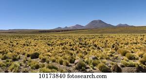 Licancabur volcano; San Pedro de Atacama, Antofagasta Region, Chile