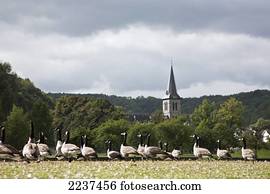 Dünne MeuSe Dünne MeuSe