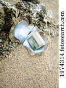 Hawaii, Polished Oyster Shell Laying In The Sand With A Hundred Dollar Bill Inside.
