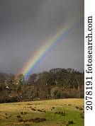 un, arco irirs, y, tormenta, clouds;, dumfries, escocia