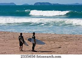 Windsurfers; New Zealand
