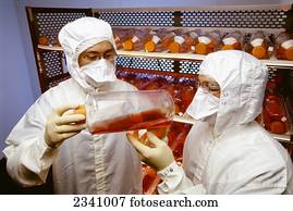 agricultura, -, técnicos, em, um, animal, laboratório, estudo, vírus, amostras, usado, para, boiada, vacina, production.