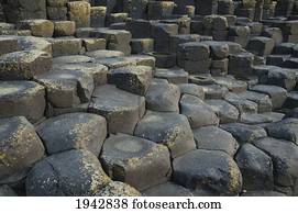 Black Basalt Columns Sticking Out Of The Sea, Giant's Causeway, Northern Ireland, United Kingdom