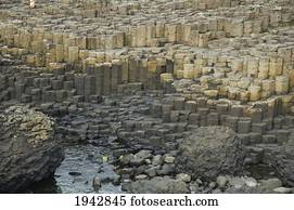 Black Basalt Columns Sticking Out Of The Sea, Giant's Causeway, Northern Ireland, United Kingdom
