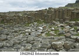 Black Basalt Columns Sticking Out Of The Sea, Giant's Causeway, Northern Ireland, United Kingdom