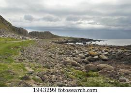 Black Basalt Columns Sticking Out Of The Sea, Giant's Causeway, Northern Ireland, United Kingdom
