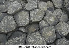 Black Basalt Columns Sticking Out Of The Sea, Giant's Causeway, Northern Ireland, United Kingdom