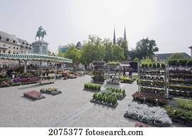Plants For Sale On The Open Air Market On Place Guillaume Ii, Luxembourg