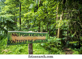 Sign in Monumento Natural Caldeira Velha, National Park; Sao Miguel, Azores, Portugal