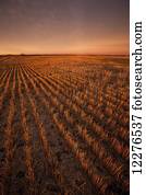 Glow over farmland at sunset; Manitoba, Canada