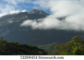 Looking through forest to the ridge of Mount Mulanje; Malawi