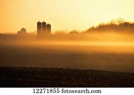 nebuloso, amanhecer, luz, ligado, fallow, milho, campos, e, um, farmstead, com, Harvestore, silos, perto, Truman;, minnesota, estados unidos américa