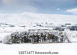Peaceful snow scene in the Howgills, near Ravenstonedale; Cumbria, England