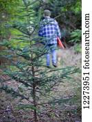 árvore natal, hunt;, yarrow, columbia britânica, canadá