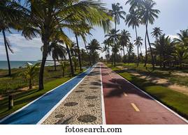 bicicleta, e, runing, caminhos, ligado, um, de, a, praias, exterior, de, Slavador;, salvador, bahia, brasil