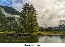 Moody landscape of low cloud over the Great Bear Rainforest; Hartley Bay, British Columbia, Canada