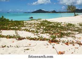 Personal watercraft at Jolly Harbour beach; Antigua and Barbuda