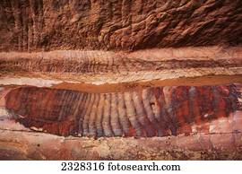 Colourful Sandstone In A Pattern; Petra, Jordan