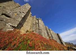 Basalt cliffs in Iceland on the Snaefellsness Peninsula, autumn foliage in the foreground; Iceland