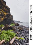 Driftwood and grass along a volcanic rock beach with dark rocky cliffs in the background, St. Paul Island, Southwestern Alaska, USA, Summer 