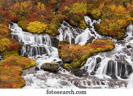 Hraunfossar, cachoeiras, e, outono, colours;, islândia