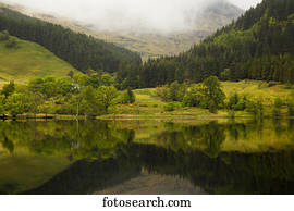Lush green landscape with grass, trees and low cloud with it's mirror image in the tranquil water; Scotland