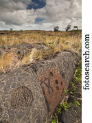 Petroglyphs on a rock outcrop in Hawaii Volcanoes National Park; Island of Hawaii, Hawaii, United States of America