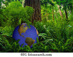 verde azul, globo, em, base, de, árvore grande, em, floresta tropical