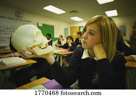 aluno feminino, examinando, cranio