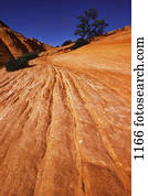 Detail of red mountain slope with tree in background