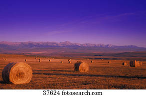 fardos feno, e, montanhas