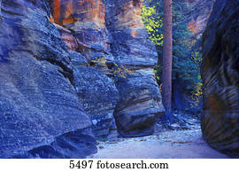 Small canyon with smooth floor and blue gray walls