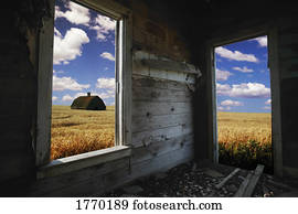 Looking out farm building to field