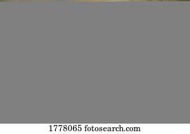 arco irirs, encima, granjeros, campo