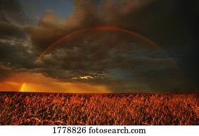 arco íris, acima, agricultores, campo