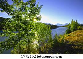 bonito, campo, e, rio