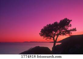 bonito, pôr do sol, sobre, a, lago